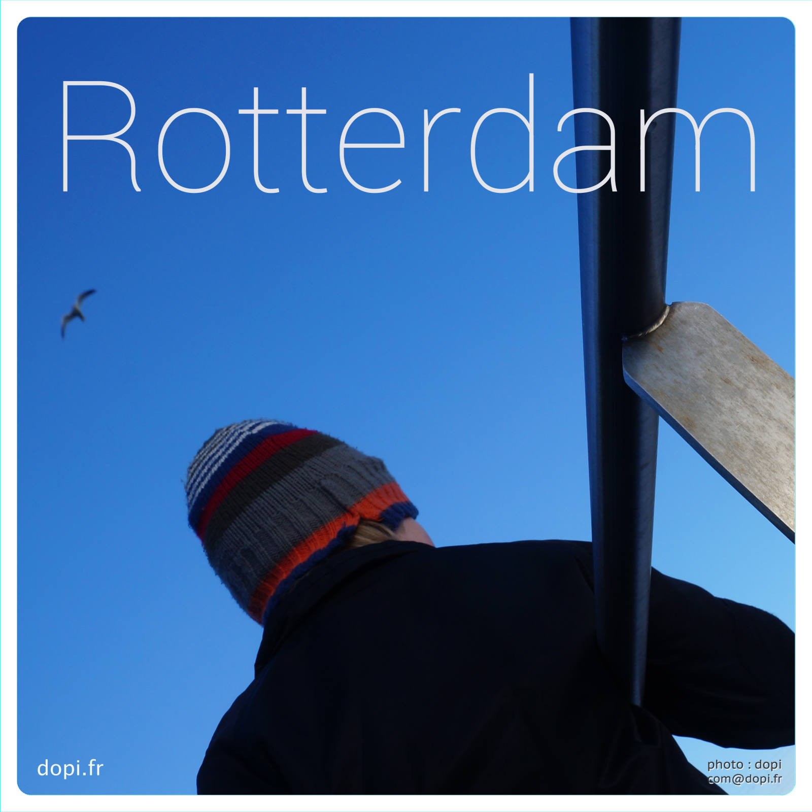 00011 41rot,medium large.2x.1483112052